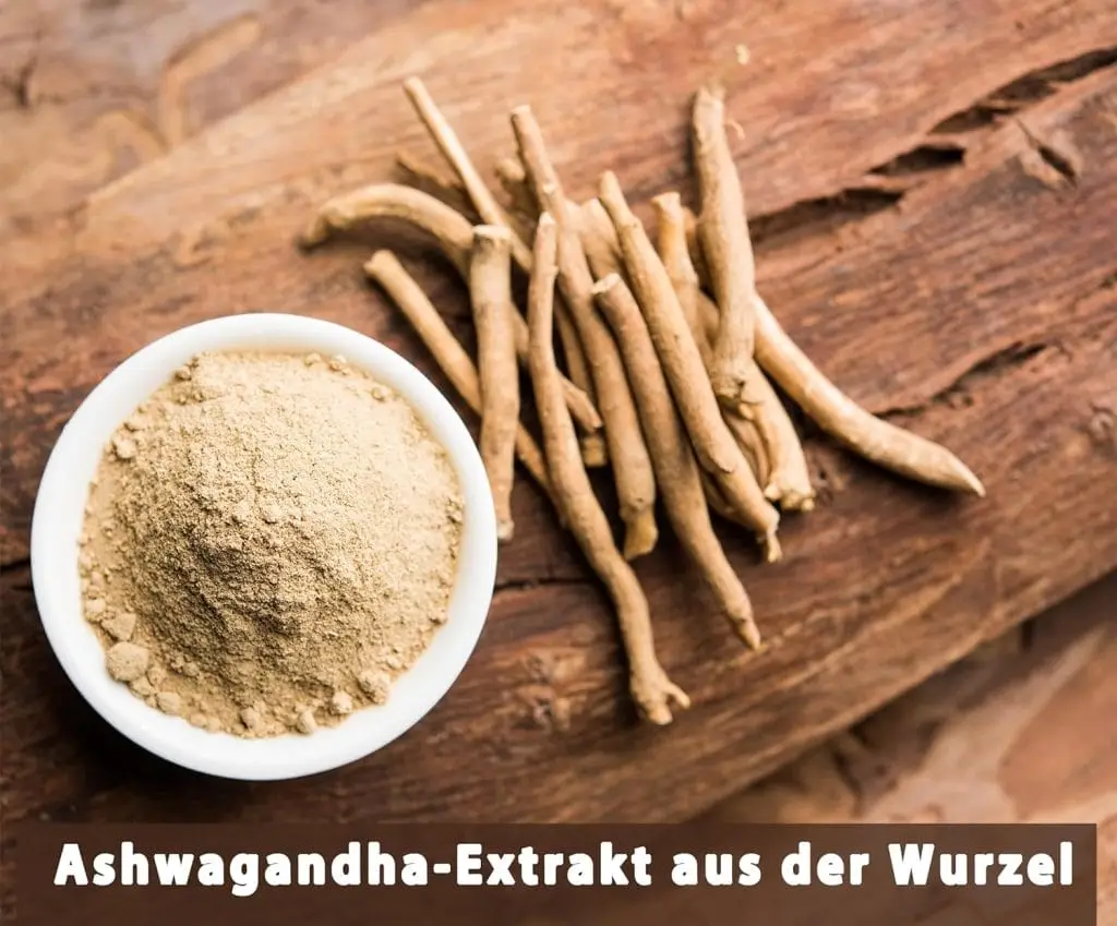 Natur Total Ashwagandha-Extrakt aus der Wurzel 600 mg – Bild 3